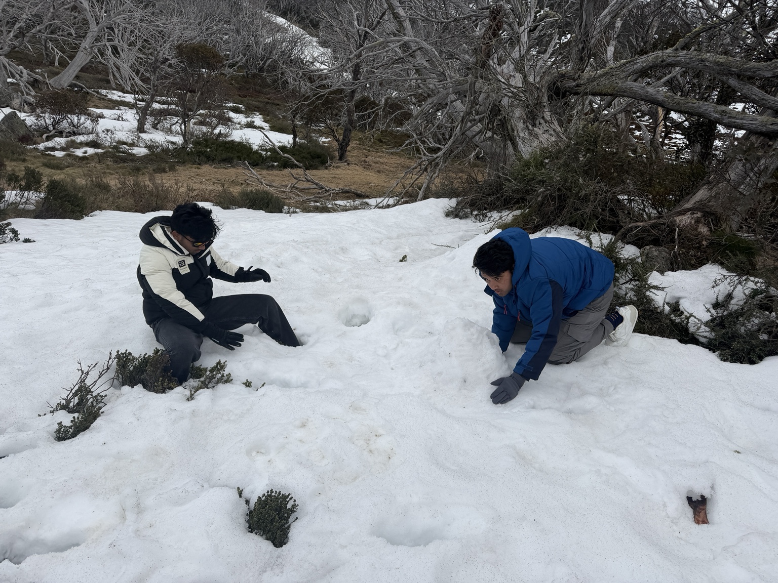 Snow day memory